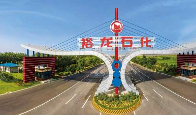 裕龍石化產(chǎn)業(yè)園招商引資導(dǎo)向