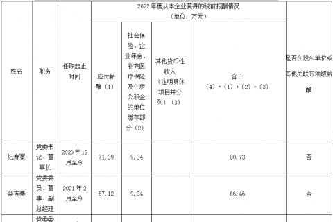 裕龍發展公司企業負責人2022年度薪酬信息披露表}