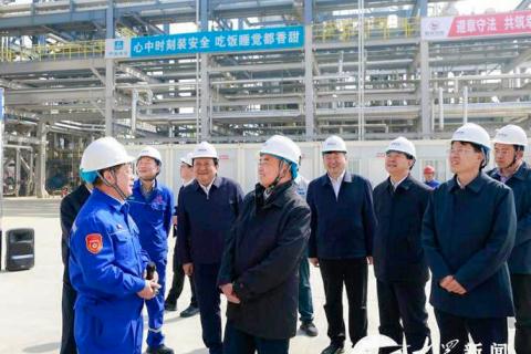 省委書記林武調(diào)研裕龍島煉化一體化項目}