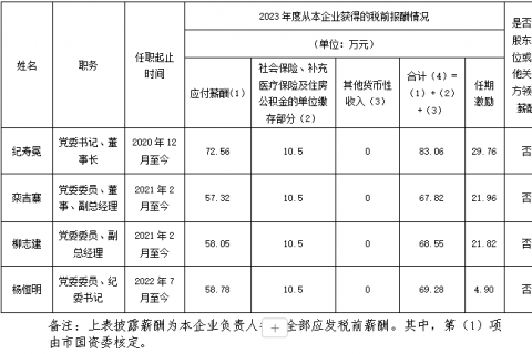 裕龍發展公司企業負責人2023年度薪酬信息披露表}