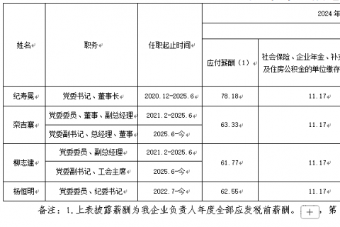 裕龍發(fā)展公司企業(yè)負(fù)責(zé)人2024年度薪酬信息披露表}